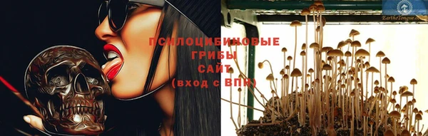 крисы Абдулино