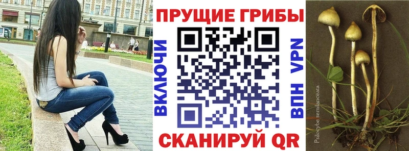 Псилоцибиновые грибы ЛСД Чегем