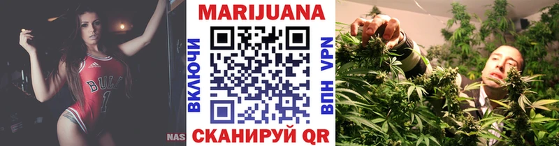 Канабис сатива  Чегем 